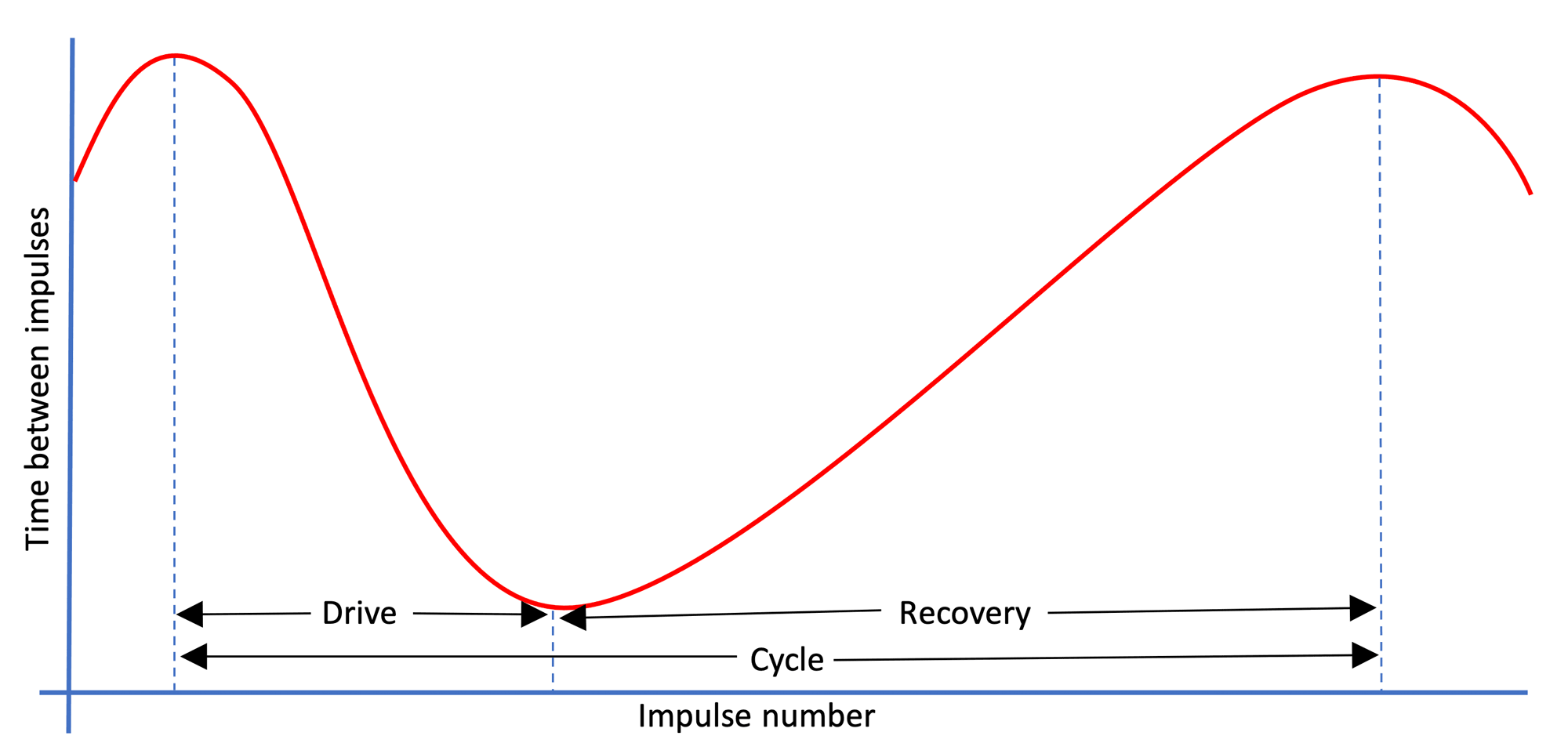 Impulses, impulse lengths and rowing cycle phases
